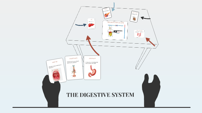 DIGESTIVE SYSTEM by on Prezi