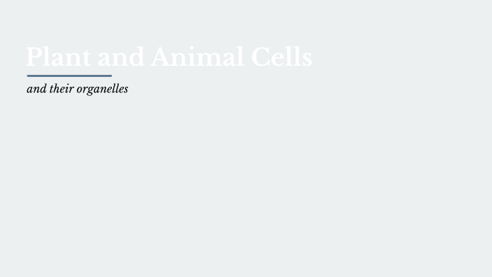 Plant and Animal Cell Project by Anna Hardaway on Prezi