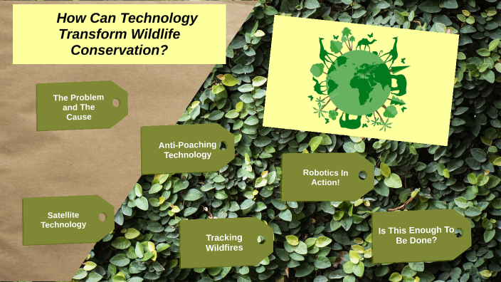 How Technology Can Help Conserve Endangered Species By 
