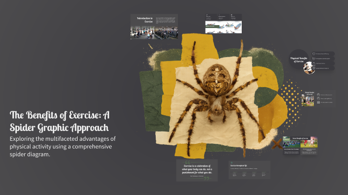 The Benefits of Exercise: A Spider Graphic Approach by Javier Bozdog on ...