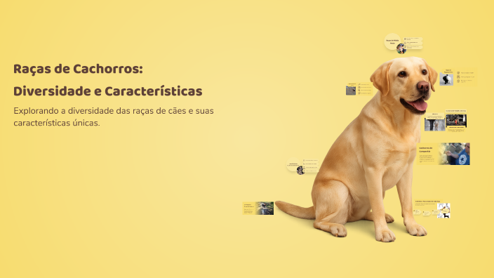 Raças de Cachorros: Diversidade e Características by leonro Barroso on ...
