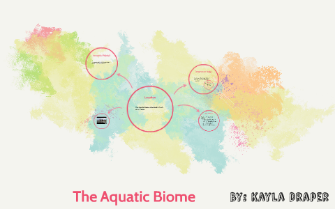 The Aquatic Biome by Kayla Draper on Prezi