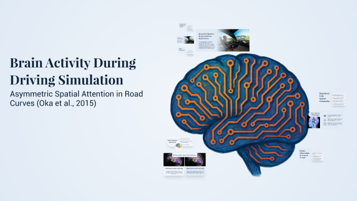 Brain Activity During Driving Simulation by Ania Piechnik on Prezi