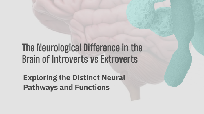 The Neurological Differences Between Introverts and Extroverts by ...