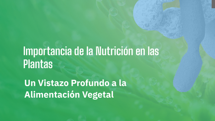 Importancia De La Nutrición En Las Plantas By Club De Ciencias Apl On Importancia De La Nutrición En Las Plantas By Club De Ciencias Apl On