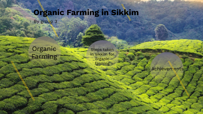 essay on agriculture of sikkim