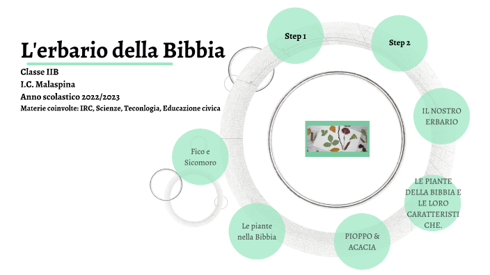 Le piante nella Bibbia by Daniela Castellani on Prezi Next