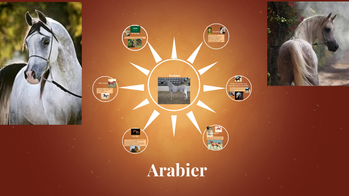 Arabier by Alysha Torsius on Prezi
