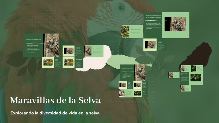 Maravillas de la Selva by santiago guerrero rubiano on Prezi