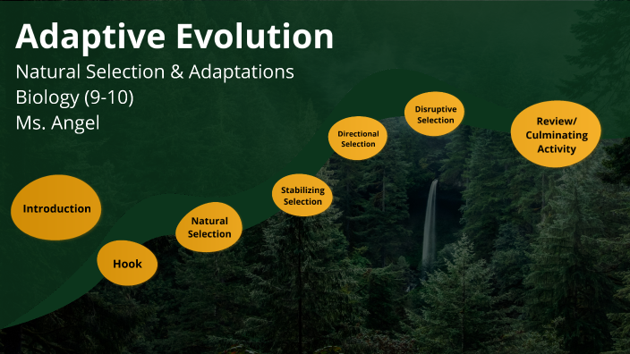 Adaptive Evolution by Karina Angel on Prezi
