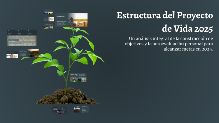 Estructura del Proyecto de Vida 2025 by KAROL NICOL TENORIO SANTA CRUZ ...