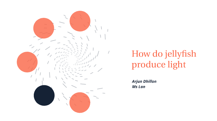 how-to-jellyfish-produce-light-by-arjun-dhillon-on-prezi