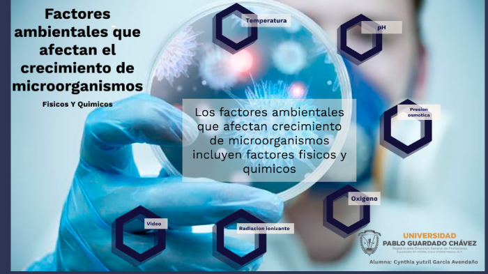 FACTORES AMBIENTALES QUE AFECTAN EL CRECIMIENTO DE MICROORGANISMOS by
