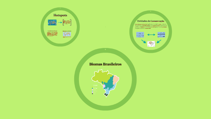 Biomas Brasileiros by João Victor on Prezi