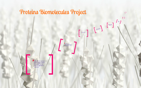 Proteins Biomolecule Acrostic Poem by Theresa Pham on Prezi