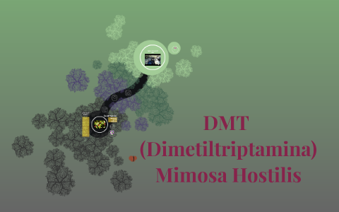 DMT (Dimetiltriptamina) by Renata Epelman on Prezi