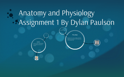 3.04 anatomy and physiology assignment