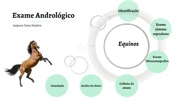 Aprendendo sobre ultrassonografia no sistema locomotor - artefatos