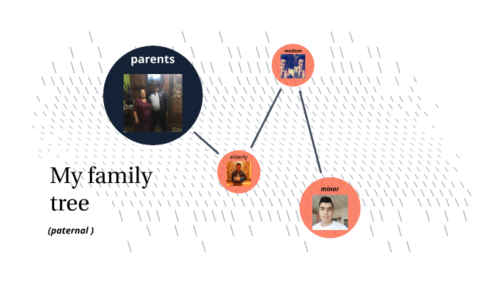 My family tree by sofia guadalupe perez ramirez on Prezi