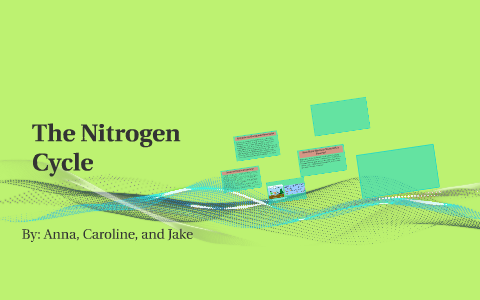 The Nitrogen Cycle by Anna Bailey on Prezi