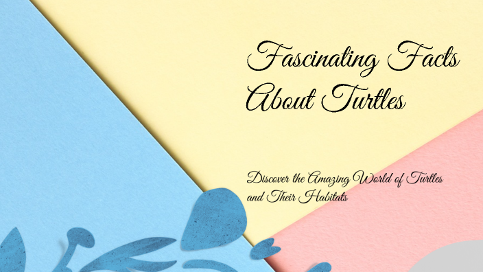 Fascinating Facts About Turtles by aiden kiedrowski on Prezi