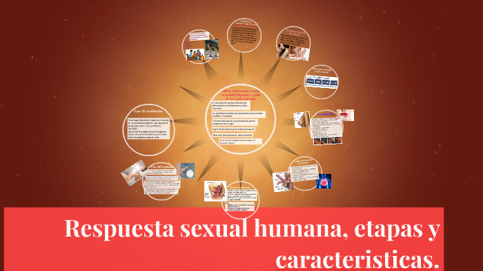 Respuesta Sexual Humana Etapas Y Caracteristicas By Bibiana Rodriguez On Prezi 1991