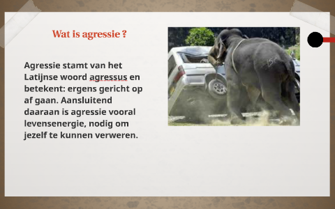 Agressie In De Zorg By Margaretha Zietsch