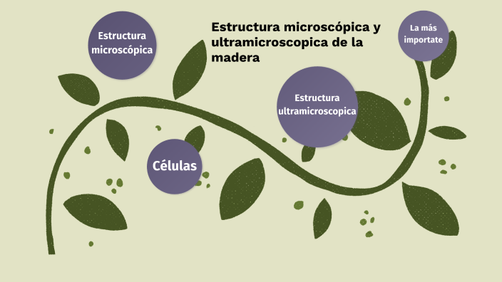 Estructura Microscópica Y Macroscópica De La Madera By Pablo Cabañas ...