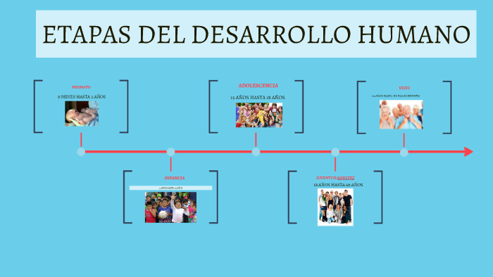 ETAPAS DEL DESARROLLO HUMANO by TERESA CAJO ROJAS on Prezi Next