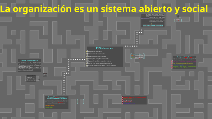 La organización es un sistema abierto y social by paula sm