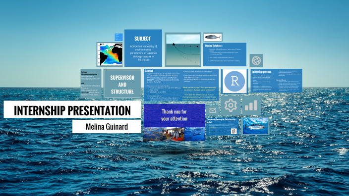 Internship Presentation By On Prezi Internship Presentation By On Prezi