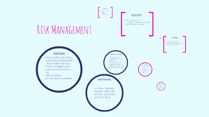 Risk Management Presentation by Allison Gann on Prezi