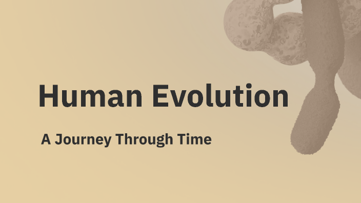 Human Evolution by lucas hann on Prezi