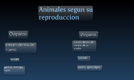 Clasificaciòn de los anilales segun su reproducciòn by claudia olave ...