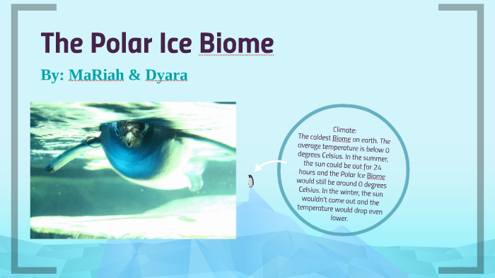 Is Polar Ice A Biome