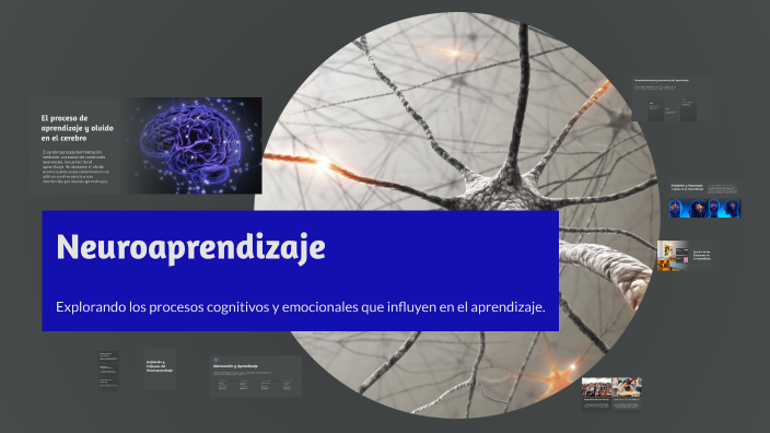Neuroaprendizaje: Entendiendo el Cerebro y el Aprendizaje by Ivonne ...