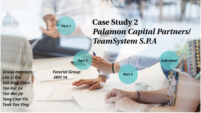 Palamon capital partners case study solution image