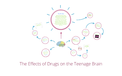 The Effects of Drugs on the Teenage Brain by Amelia Charles on Prezi