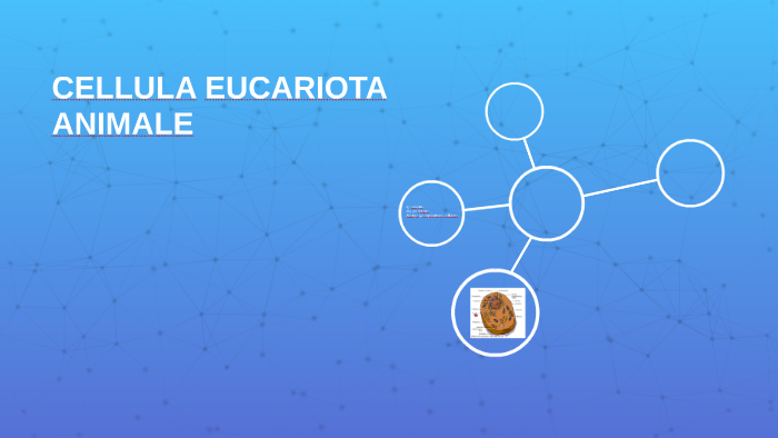 CELLULA EUCARIOTA ANIMALE by Laura Capoferi on Prezi