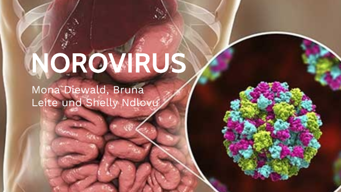 norovirus presentation prezi