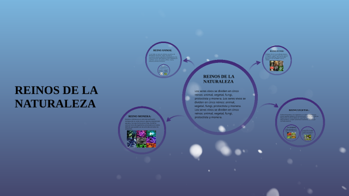 reinos de la naturaleza by jhonatan steven muñoz martinez on Prezi