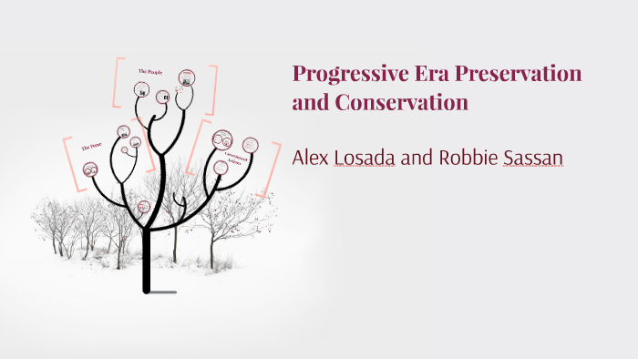 progressive-age-conservation-and-preservation-by