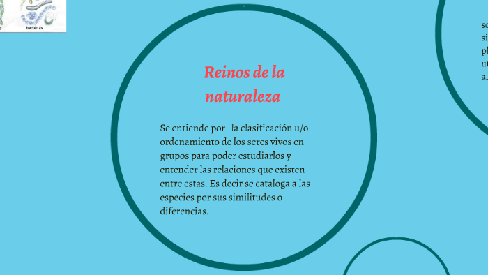 cinco reinos de la naturaleza by maricela castro zea on Prezi