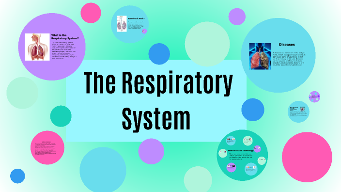 The Respiratory System by Brianna Hellyer on Prezi