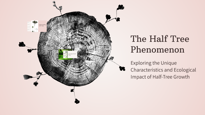 The Half Tree Phenomenon by John Hayagan on Prezi