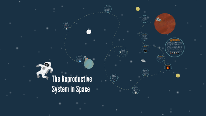 reproductive experiments in space