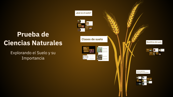 Prueba de Ciencias Naturales by Paola Leiva on Prezi