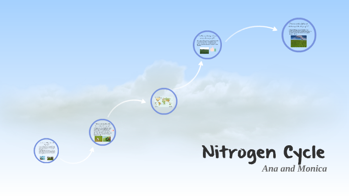 Nitrogen Cycle by monica herrera on Prezi