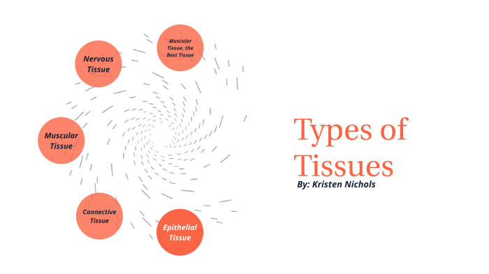 Anatomy Module 2 Lesson 1 Assignment by Kristen Nichols on Prezi