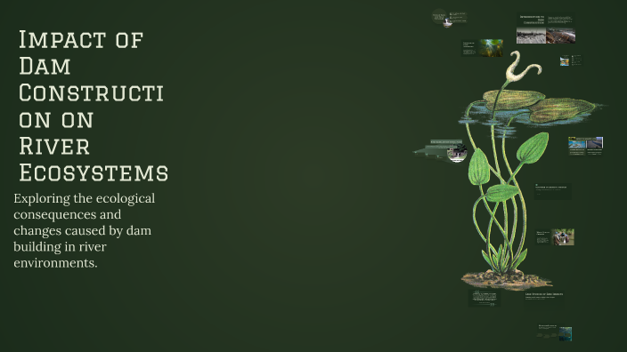 Impact of Dam Construction on River Ecosystems by Baltazar Montes on Prezi